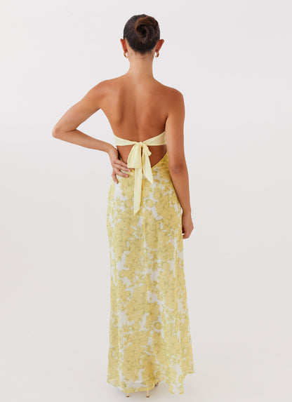 Isabella Maxi Dress