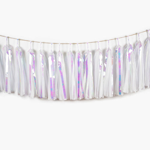 Iridescent Snow Tassel Garland - Winter Wonderland Party Decorations Christmas Snowflake Wall Hanging Backdrop Let it snow